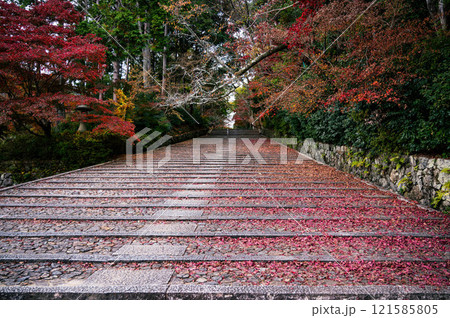紅葉のある階段 紅葉のある階段 121585805