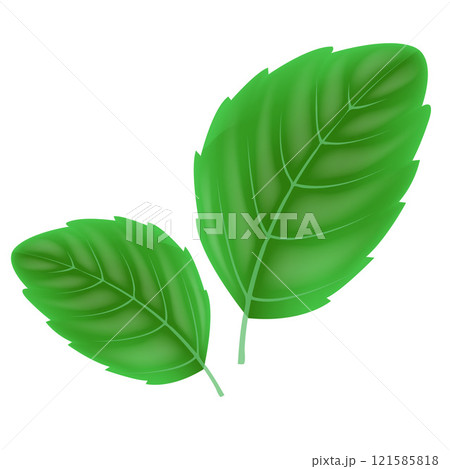 Abstract Green leaves. Eco green concept spring card background for your design. Eps 10 121585818