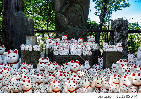 境内に並ぶたくさんの招き猫たち 121585944