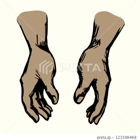 Young human hands. Vector drawing 121586468