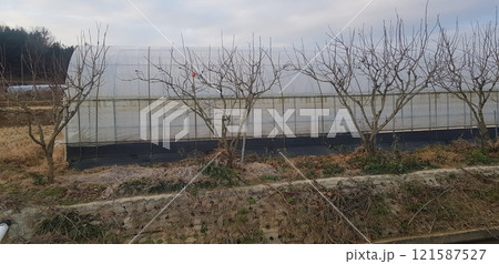 terrace on the lake 121587527