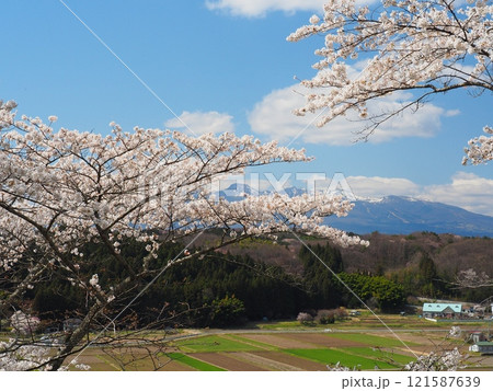 那須町・芦野御殿山公園から望む桜と残雪の那須岳 那須町・芦野御殿山公園から望む桜と残雪の那須岳 121587639