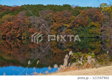 埼玉県のメッツァ宮沢湖の紅葉 埼玉県のメッツァ宮沢湖の紅葉 121587902