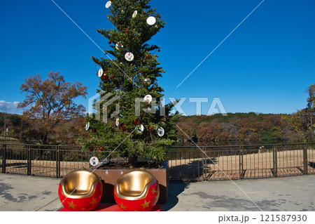 埼玉県のメッツァ宮沢湖のクリスマスツリー 埼玉県のメッツァ宮沢湖のクリスマスツリー 121587930