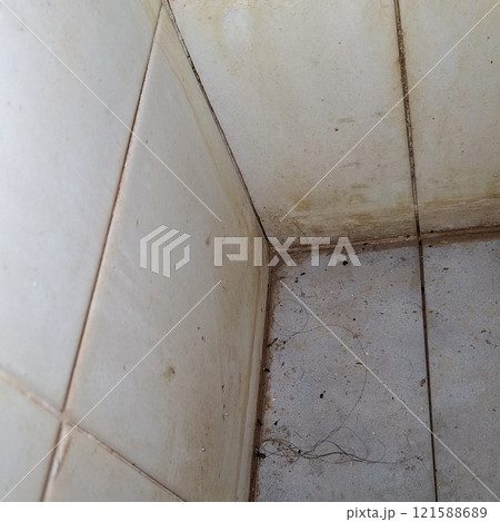 Stains on the walls and floors of the bathroom are a breeding ground for germs. Stains on the walls and floors of the bathroom are a breeding ground for germs. 121588689