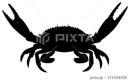 ワタリガニ 121589269
