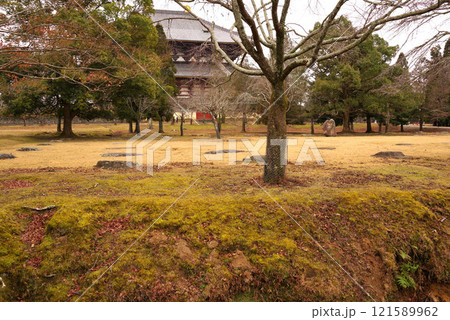 東大寺講堂跡 東大寺講堂跡 121589962