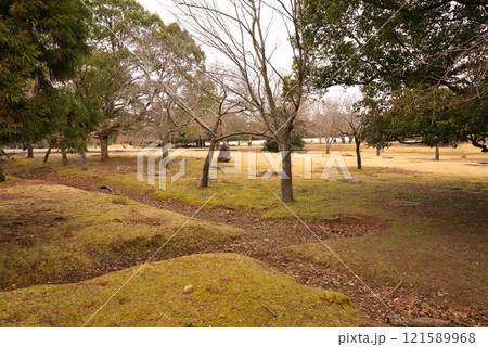 東大寺講堂跡 121589968