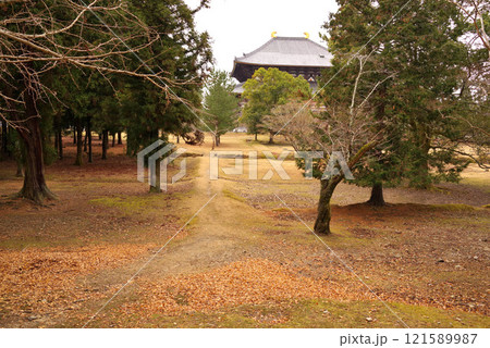 東大寺講堂跡 東大寺講堂跡 121589987