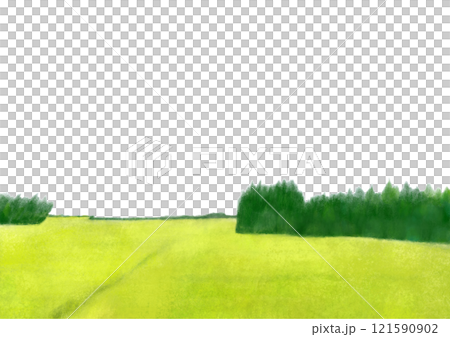 Light green grassland landscape illustration 121590902