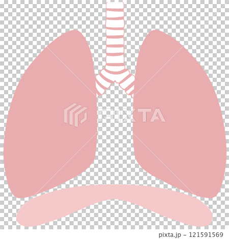Unhealthy lungs and diaphragm illustration 121591569