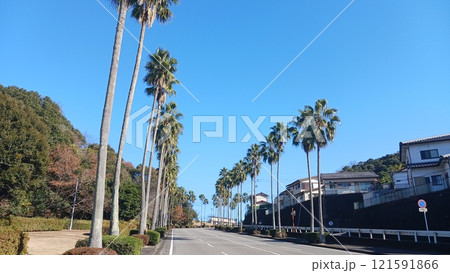 宮崎県日向市の大王谷運動公園への道 121591866