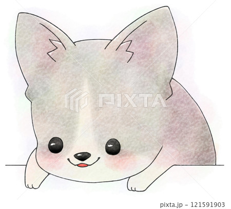 上からのぞきこむコーギー(水彩風・灰色) 121591903