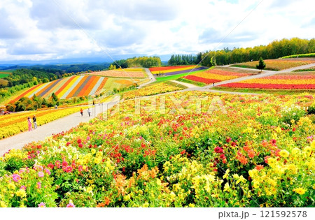 北海道紀行   9月下旬の四季彩の丘   秋の四季彩の丘 北海道紀行   9月下旬の四季彩の丘   秋の四季彩の丘 121592578