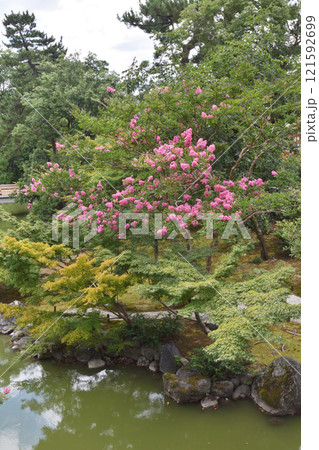 京都御苑の拾翠亭からの眺め 京都御苑の拾翠亭からの眺め 121592699
