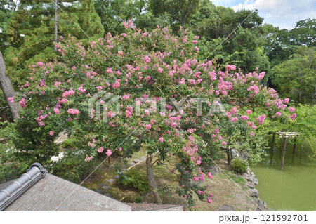 京都御苑の拾翠亭からの眺め 121592701