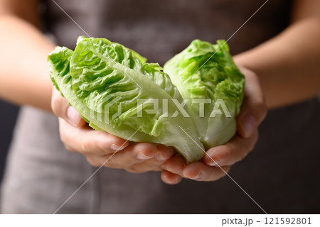 Cos lettuce romaine holding by woman hand, Fresh vegetable 121592801
