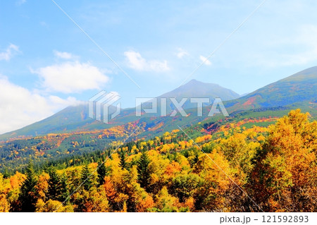 北海道紀行  10月上旬の十勝岳連峰  秋の十勝岳  紅葉の十勝岳  望岳台からの十勝岳連峰 北海道紀行  10月上旬の十勝岳連峰  秋の十勝岳  紅葉の十勝岳  望岳台からの十勝岳連峰 121592893