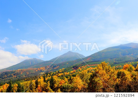 北海道紀行　　10月上旬の十勝岳連峰　　秋の十勝岳　　紅葉の十勝岳　　望岳台からの十勝岳連峰 121592894