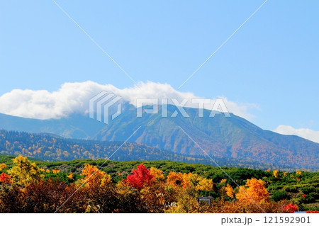 北海道紀行　　10月上旬の十勝岳連峰　　秋の十勝岳　　紅葉の十勝岳　　望岳台からの十勝岳連峰 121592901