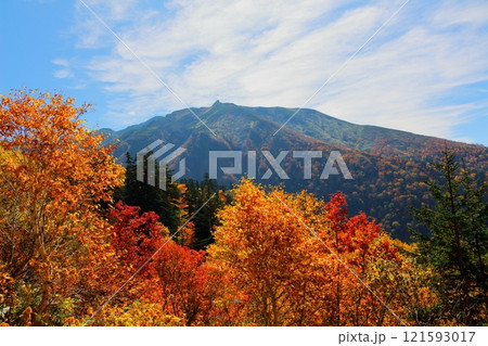 北海道紀行 10月上旬の十勝岳連峰 秋の十勝岳 紅葉の十勝岳 十勝岳温泉からの十勝岳連峰 北海道紀行 10月上旬の十勝岳連峰 秋の十勝岳 紅葉の十勝岳 十勝岳温泉からの十勝岳連峰 121593017