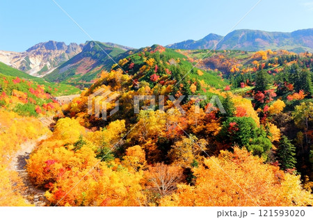 北海道紀行 10月上旬の十勝岳連峰 秋の十勝岳 紅葉の十勝岳 十勝岳温泉からの十勝岳連峰 北海道紀行 10月上旬の十勝岳連峰 秋の十勝岳 紅葉の十勝岳 十勝岳温泉からの十勝岳連峰 121593020