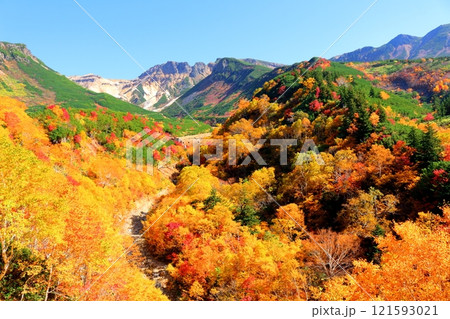 北海道紀行　　10月上旬の十勝岳連峰　　秋の十勝岳　　紅葉の十勝岳　　十勝岳温泉からの十勝岳連峰 121593021