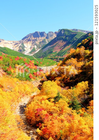 北海道紀行 10月上旬の十勝岳連峰 秋の十勝岳 紅葉の十勝岳 十勝岳温泉からの十勝岳連峰 北海道紀行 10月上旬の十勝岳連峰 秋の十勝岳 紅葉の十勝岳 十勝岳温泉からの十勝岳連峰 121593025