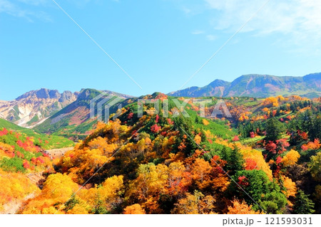 北海道紀行 10月上旬の十勝岳連峰 秋の十勝岳 紅葉の十勝岳 十勝岳温泉からの十勝岳連峰 北海道紀行 10月上旬の十勝岳連峰 秋の十勝岳 紅葉の十勝岳 十勝岳温泉からの十勝岳連峰 121593031