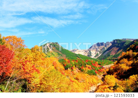 北海道紀行 10月上旬の十勝岳連峰 秋の十勝岳 紅葉の十勝岳 十勝岳温泉からの十勝岳連峰 北海道紀行 10月上旬の十勝岳連峰 秋の十勝岳 紅葉の十勝岳 十勝岳温泉からの十勝岳連峰 121593033