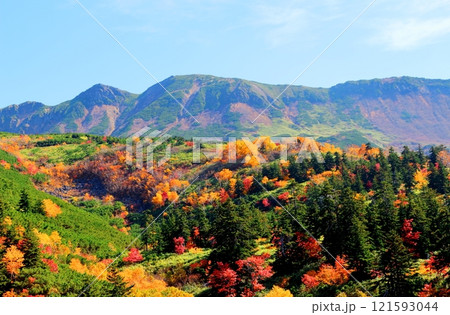 北海道紀行　　10月上旬の十勝岳連峰　　秋の十勝岳　　紅葉の十勝岳　　十勝岳温泉からの十勝岳連峰 121593044