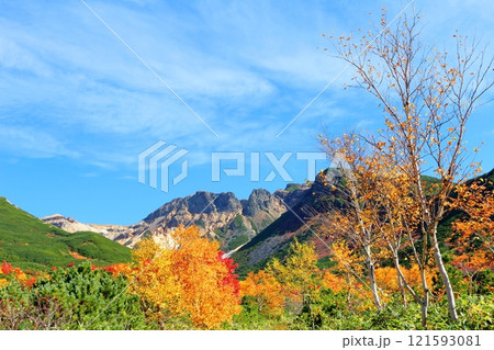 北海道紀行 10月上旬の十勝岳連峰 秋の十勝岳 紅葉の十勝岳 十勝岳温泉からの十勝岳連峰 北海道紀行 10月上旬の十勝岳連峰 秋の十勝岳 紅葉の十勝岳 十勝岳温泉からの十勝岳連峰 121593081