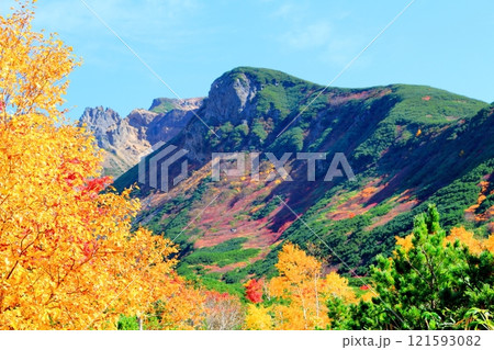北海道紀行　　10月上旬の十勝岳連峰　　秋の十勝岳　　紅葉の十勝岳　　十勝岳温泉からの十勝岳連峰 121593082