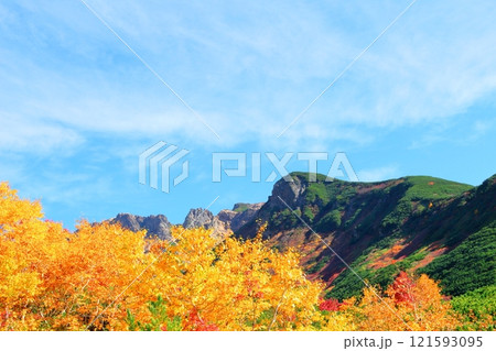 北海道紀行 10月上旬の十勝岳連峰 秋の十勝岳 紅葉の十勝岳 十勝岳温泉からの十勝岳連峰 北海道紀行 10月上旬の十勝岳連峰 秋の十勝岳 紅葉の十勝岳 十勝岳温泉からの十勝岳連峰 121593095