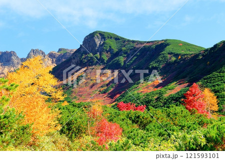 北海道紀行 10月上旬の十勝岳連峰 秋の十勝岳 紅葉の十勝岳 十勝岳温泉からの十勝岳連峰 北海道紀行 10月上旬の十勝岳連峰 秋の十勝岳 紅葉の十勝岳 十勝岳温泉からの十勝岳連峰 121593101
