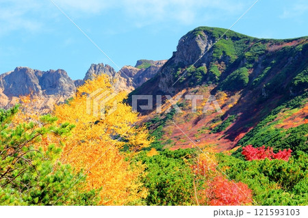 北海道紀行 10月上旬の十勝岳連峰 秋の十勝岳 紅葉の十勝岳 十勝岳温泉からの十勝岳連峰 北海道紀行 10月上旬の十勝岳連峰 秋の十勝岳 紅葉の十勝岳 十勝岳温泉からの十勝岳連峰 121593103