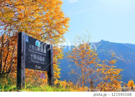 北海道紀行　　10月上旬の十勝岳連峰　　秋の十勝岳　　紅葉の十勝岳　　十勝岳温泉からの十勝岳連峰 121593108