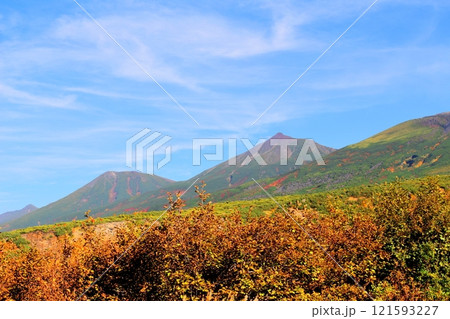 北海道紀行 10月上旬の十勝岳連峰 秋の十勝岳 紅葉の十勝岳 望岳台からの十勝岳連峰 北海道紀行 10月上旬の十勝岳連峰 秋の十勝岳 紅葉の十勝岳 望岳台からの十勝岳連峰 121593227