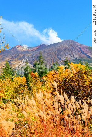 北海道紀行 10月上旬の十勝岳連峰 秋の十勝岳 紅葉の十勝岳 望岳台からの十勝岳連峰 北海道紀行 10月上旬の十勝岳連峰 秋の十勝岳 紅葉の十勝岳 望岳台からの十勝岳連峰 121593244