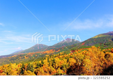 北海道紀行　　10月上旬の十勝岳連峰　　秋の十勝岳　　紅葉の十勝岳　　望岳台からの十勝岳連峰 121593252