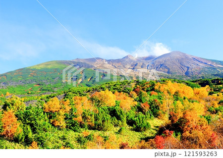 北海道紀行　　10月上旬の十勝岳連峰　　秋の十勝岳　　紅葉の十勝岳　　望岳台からの十勝岳連峰 121593263
