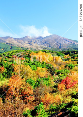 北海道紀行　　10月上旬の十勝岳連峰　　秋の十勝岳　　紅葉の十勝岳　　望岳台からの十勝岳連峰 121593266