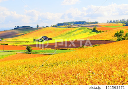 北海道紀行 9月下旬の美瑛の風景 うねり農場 秋の美瑛の風景 北海道紀行 9月下旬の美瑛の風景 うねり農場 秋の美瑛の風景 121593371