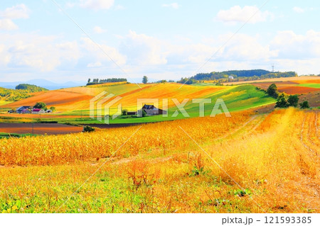 北海道紀行　　　9月下旬の美瑛の風景　　　うねり農場　　　秋の美瑛の風景 121593385