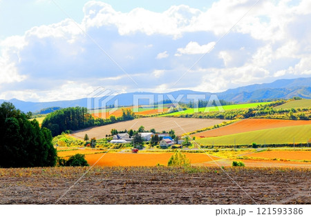 北海道紀行 9月下旬の美瑛の風景 うねり農場 秋の美瑛の風景 北海道紀行 9月下旬の美瑛の風景 うねり農場 秋の美瑛の風景 121593386