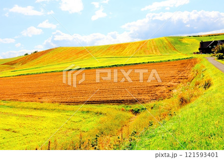 北海道紀行　　　9月下旬の美瑛の風景　　　うねり農場　　　秋の美瑛の風景 121593401