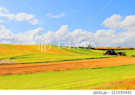 北海道紀行　　　9月下旬の美瑛の風景　　　うねり農場　　　秋の美瑛の風景 121593442