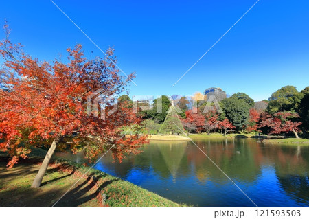 【東京都】快晴のシンメトリーな小石川後楽園の紅葉 【東京都】快晴のシンメトリーな小石川後楽園の紅葉 121593503