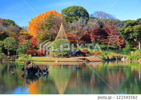【東京都】快晴のシンメトリーな六義園の紅葉 【東京都】快晴のシンメトリーな六義園の紅葉 121593562
