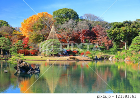【東京都】快晴のシンメトリーな六義園の紅葉 121593563
